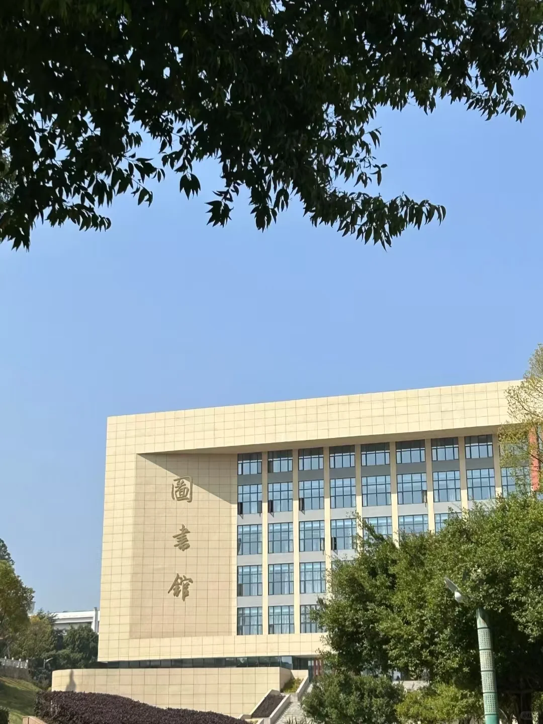 辅导员案例“五步走”框架高分拿下（直接用