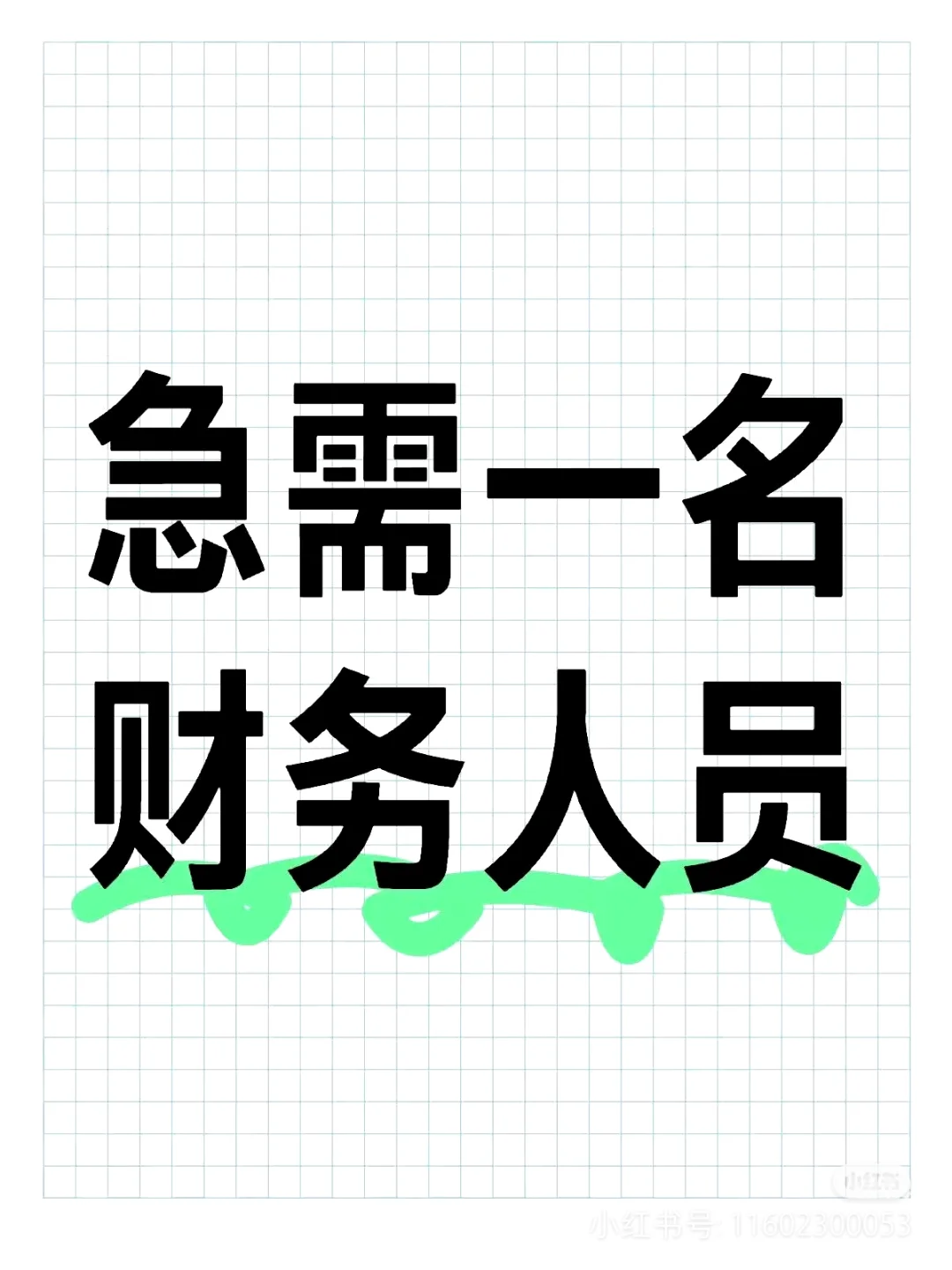 招一名财务会计