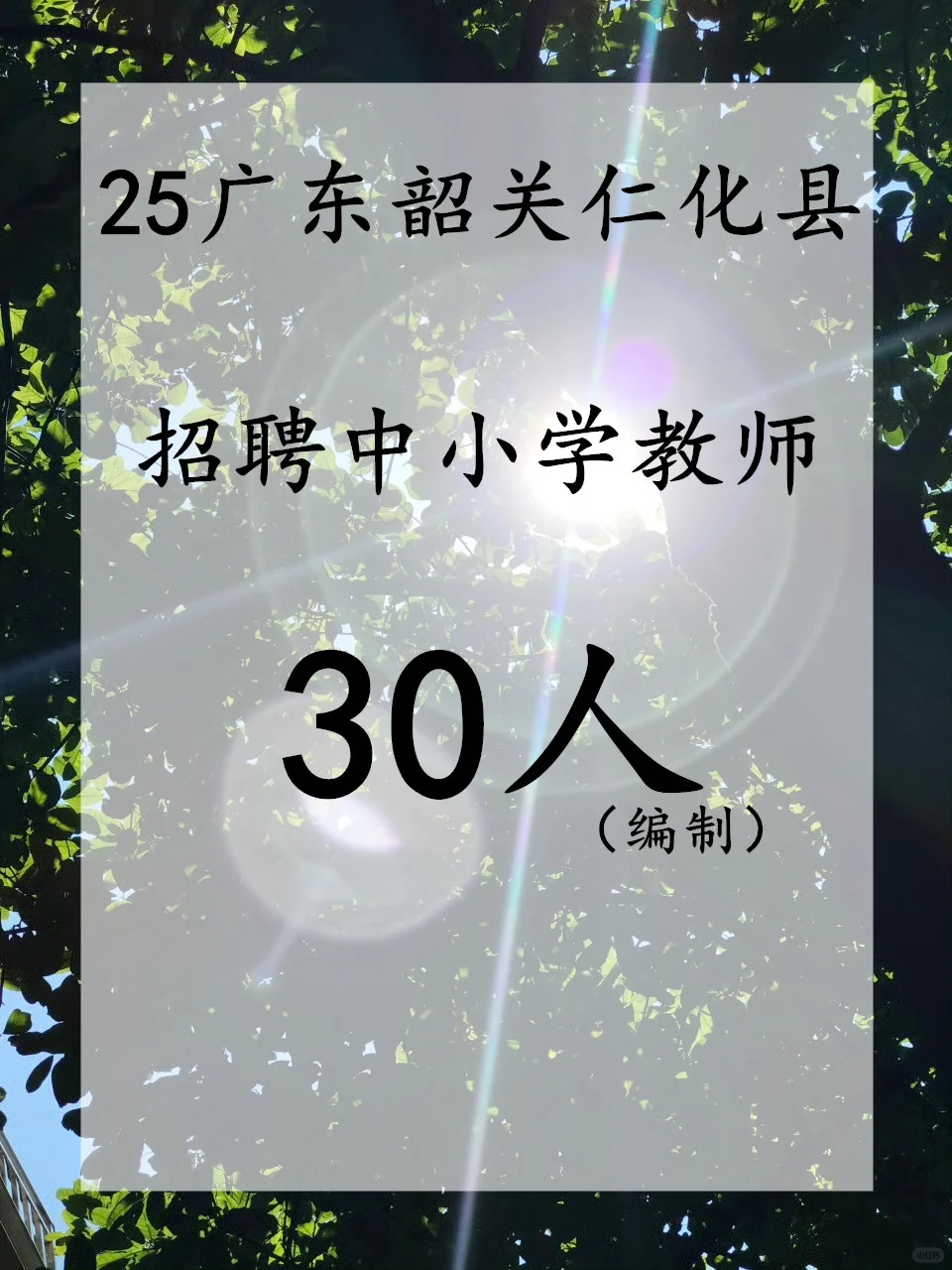 25广东韶关招聘中小学教师30人公告（编制）