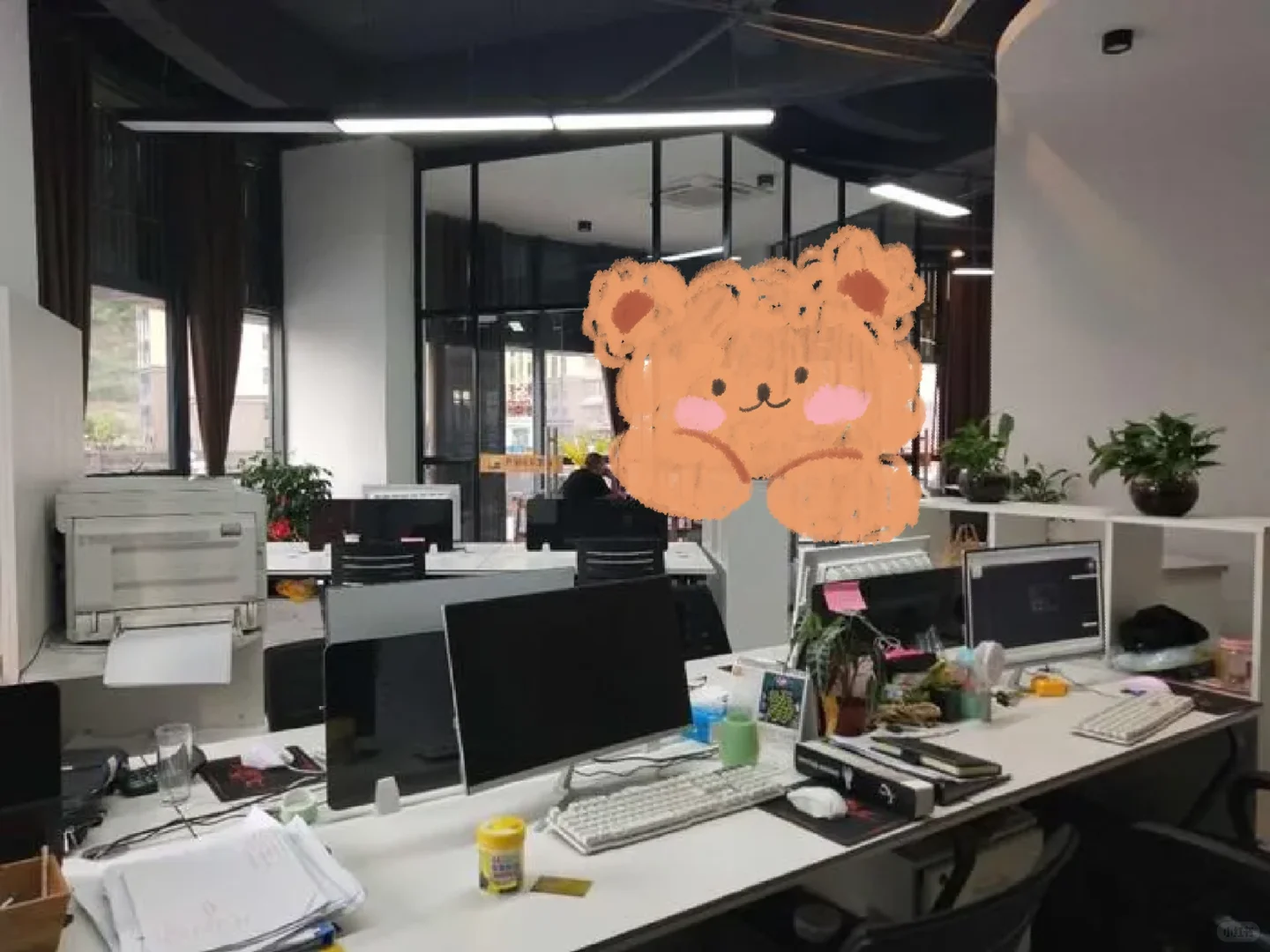 政务中心，窗口文员，双休4500+，