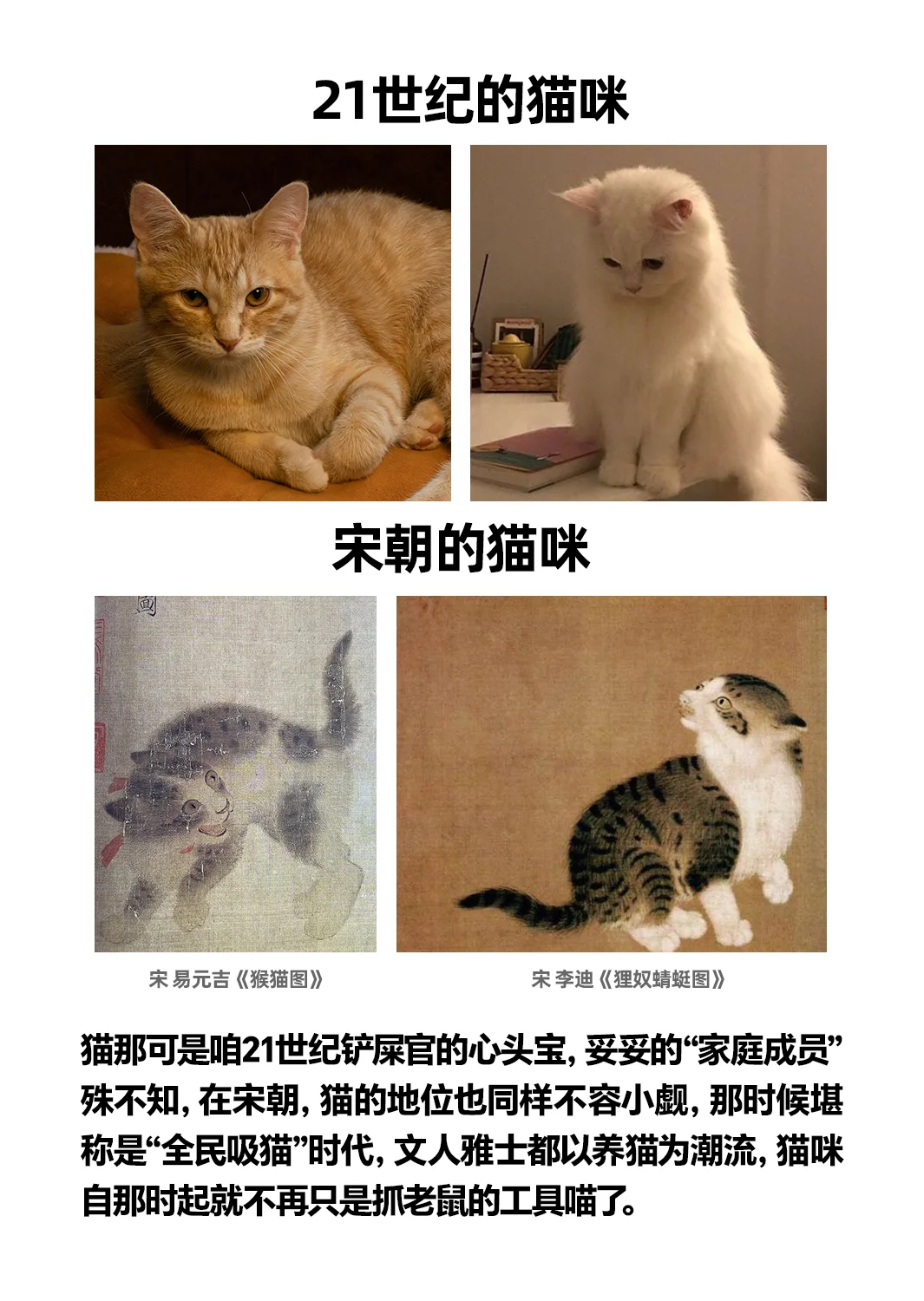 想当大宋铲屎官？先过猫妈彩🎁礼关！