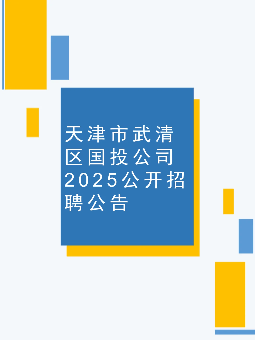 天津市武清区国投公司2025公开招聘公告