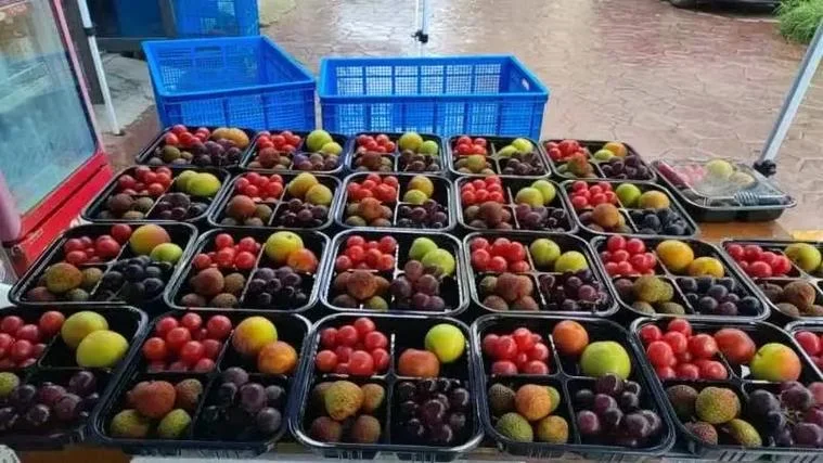 长沙市雨花区水果打包