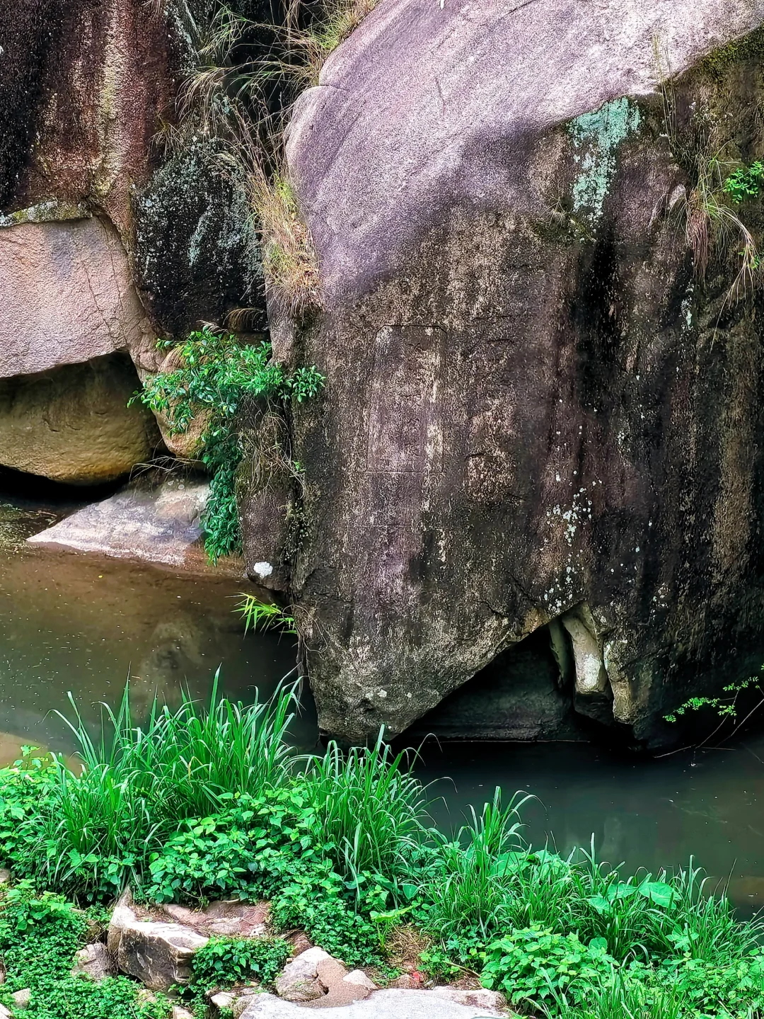 厦门踏勘三(上)