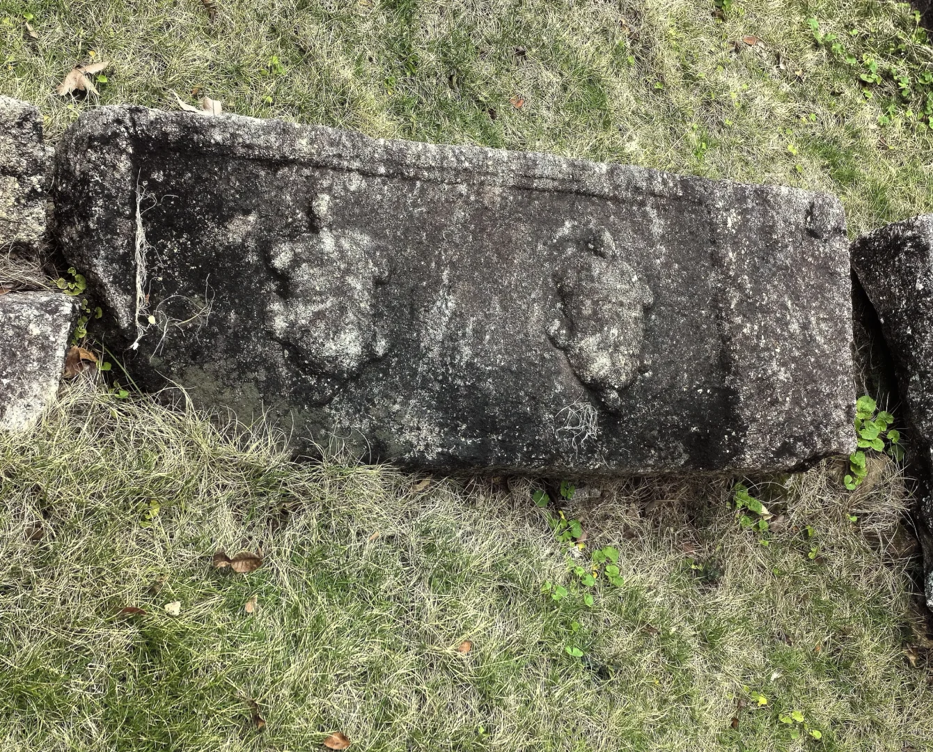 厦门踏勘三(上)