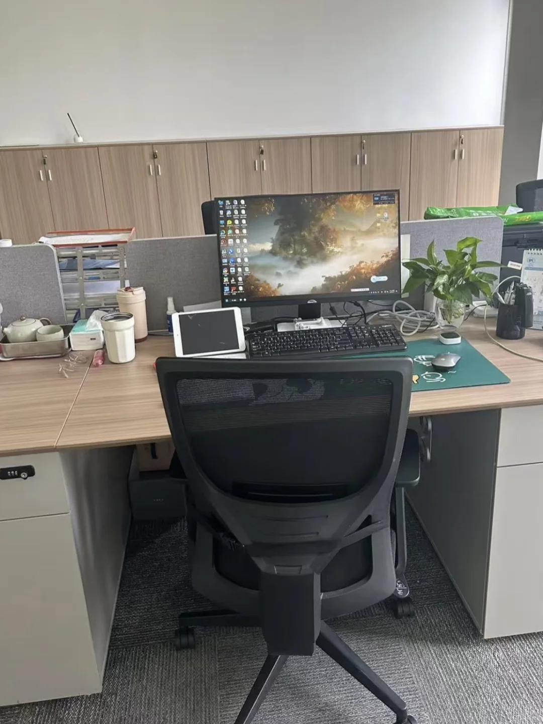 国企，治愈每个在私企受伤的人