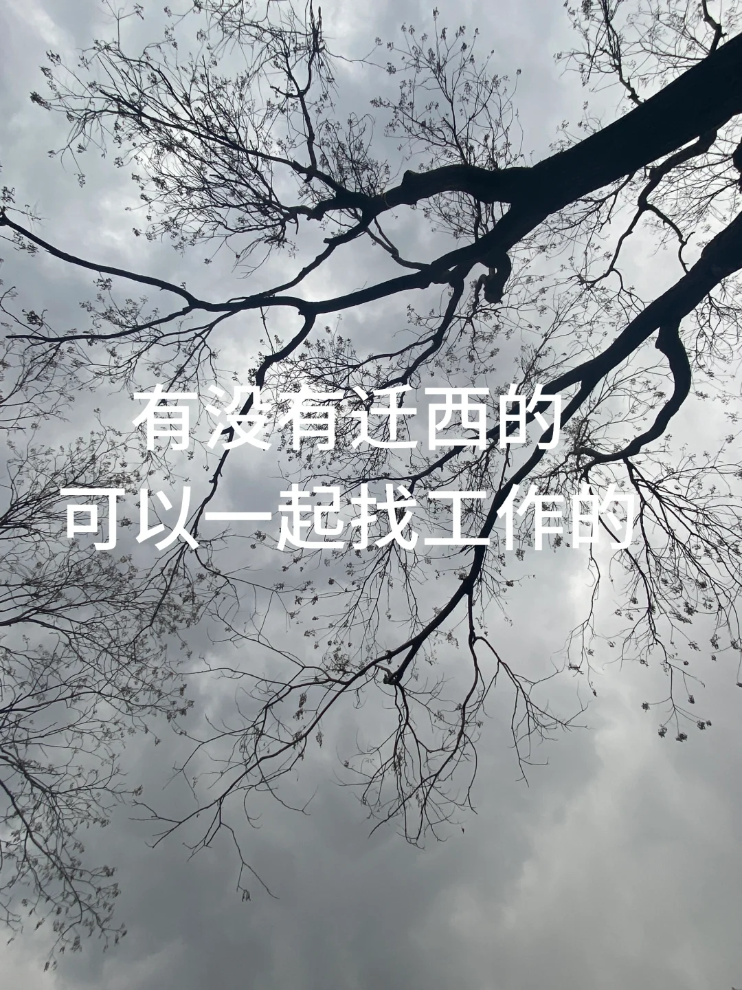 迁西找工作