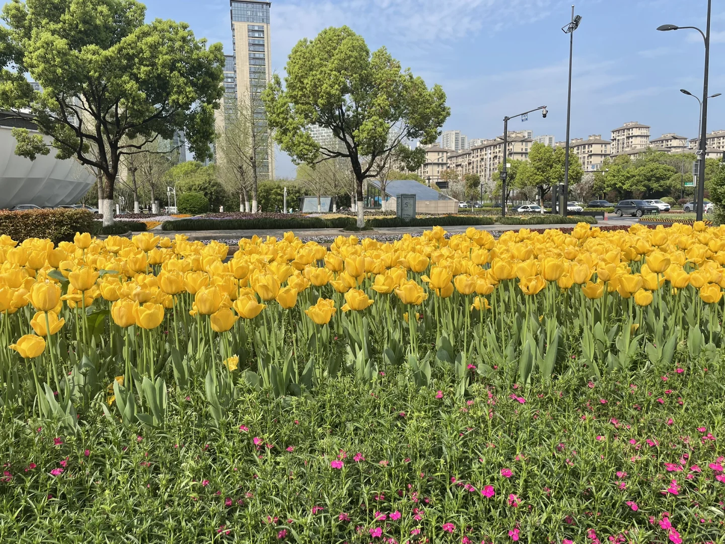 帮老婆招个生活搭子