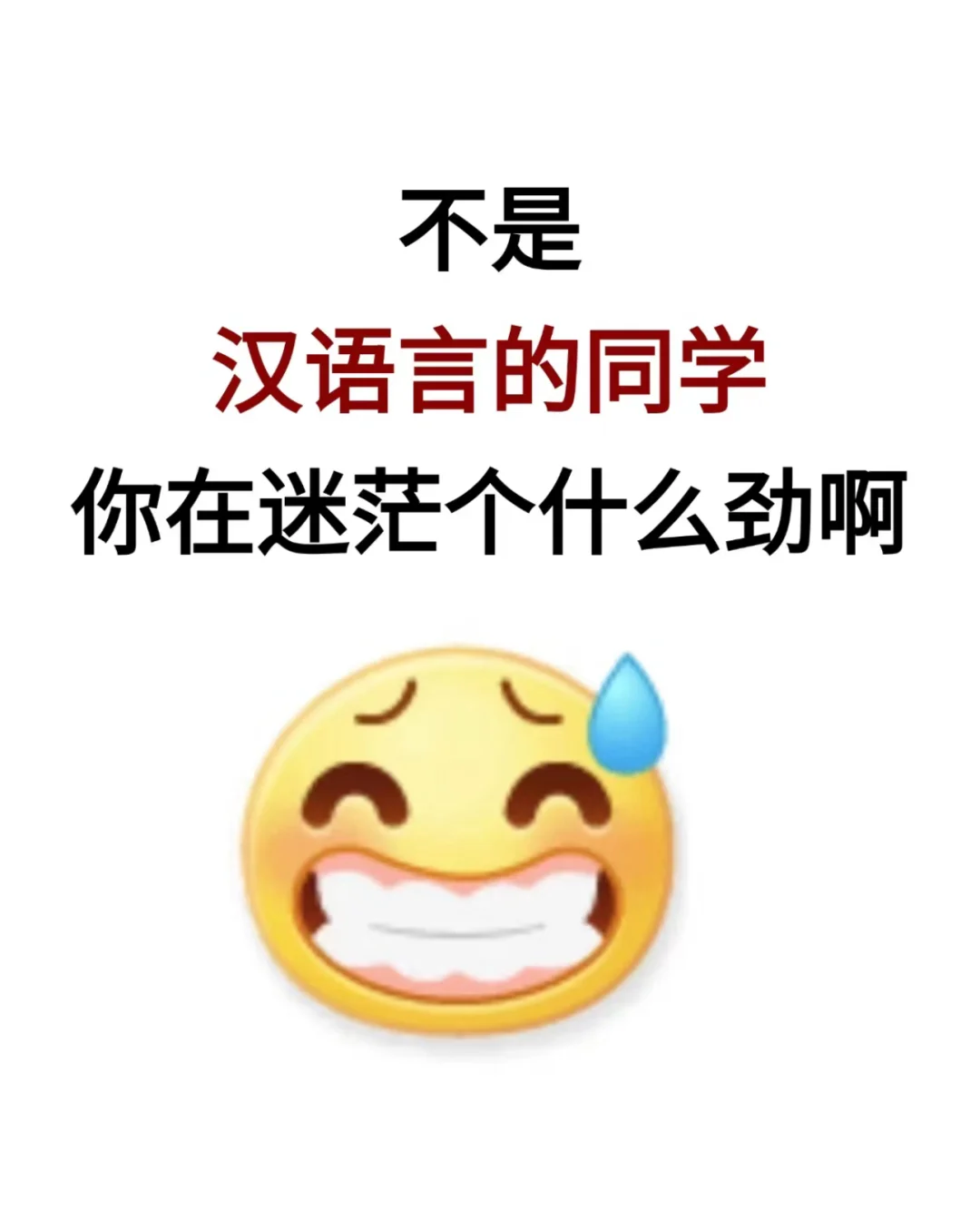 汉语言的宝子请牢牢抓住这15次进体制的机会