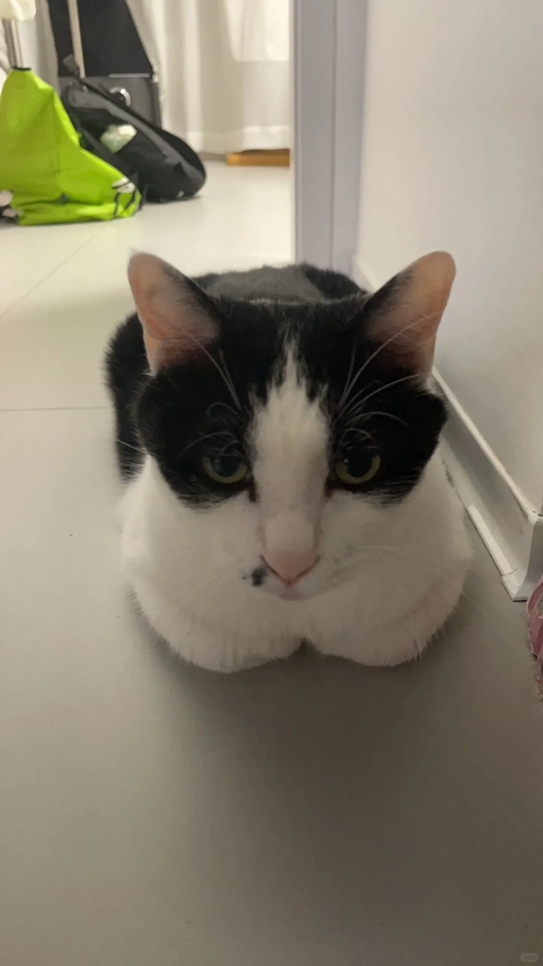 帮老婆招个生活搭子