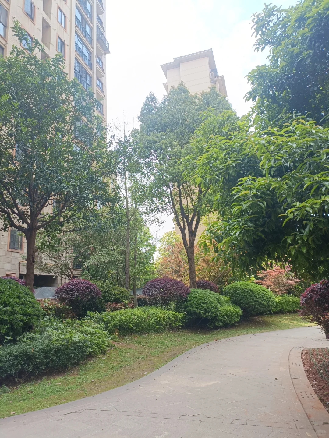 教龄15年的老师，我将这样做，克服职业焦虑