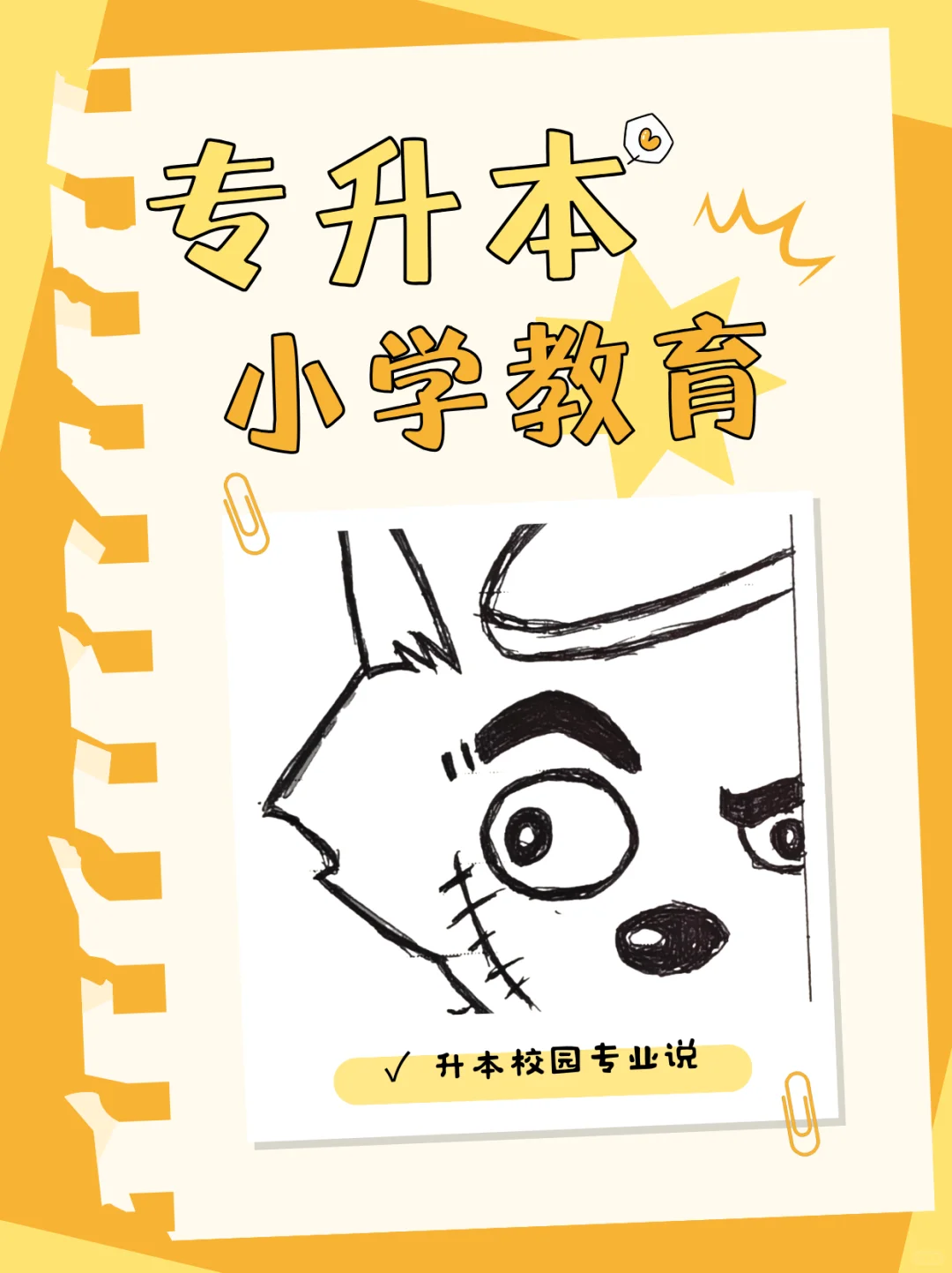 辽宁专升本小学教育专业解析