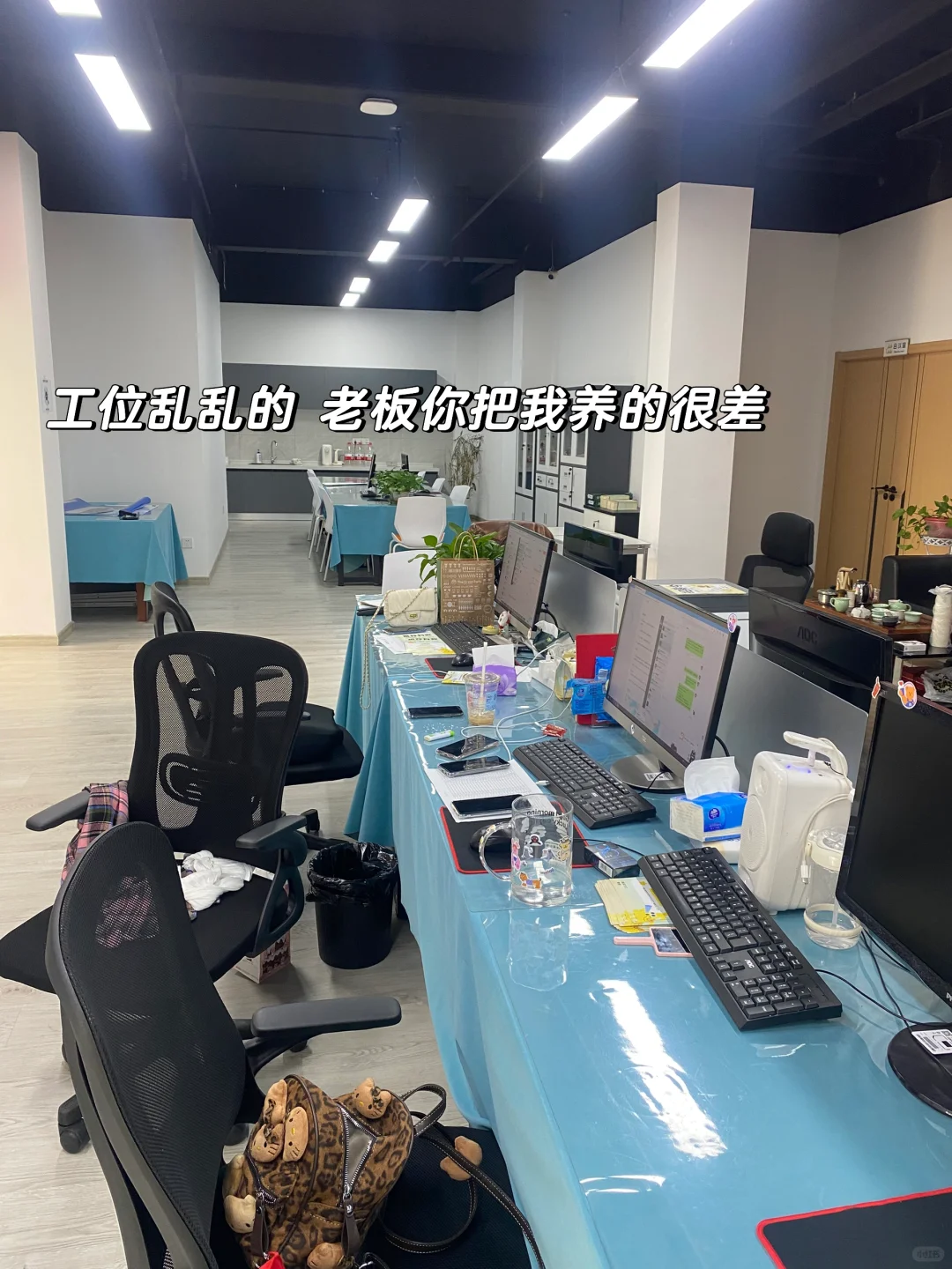 新成立人事部门招聘！！在蔡甸的来