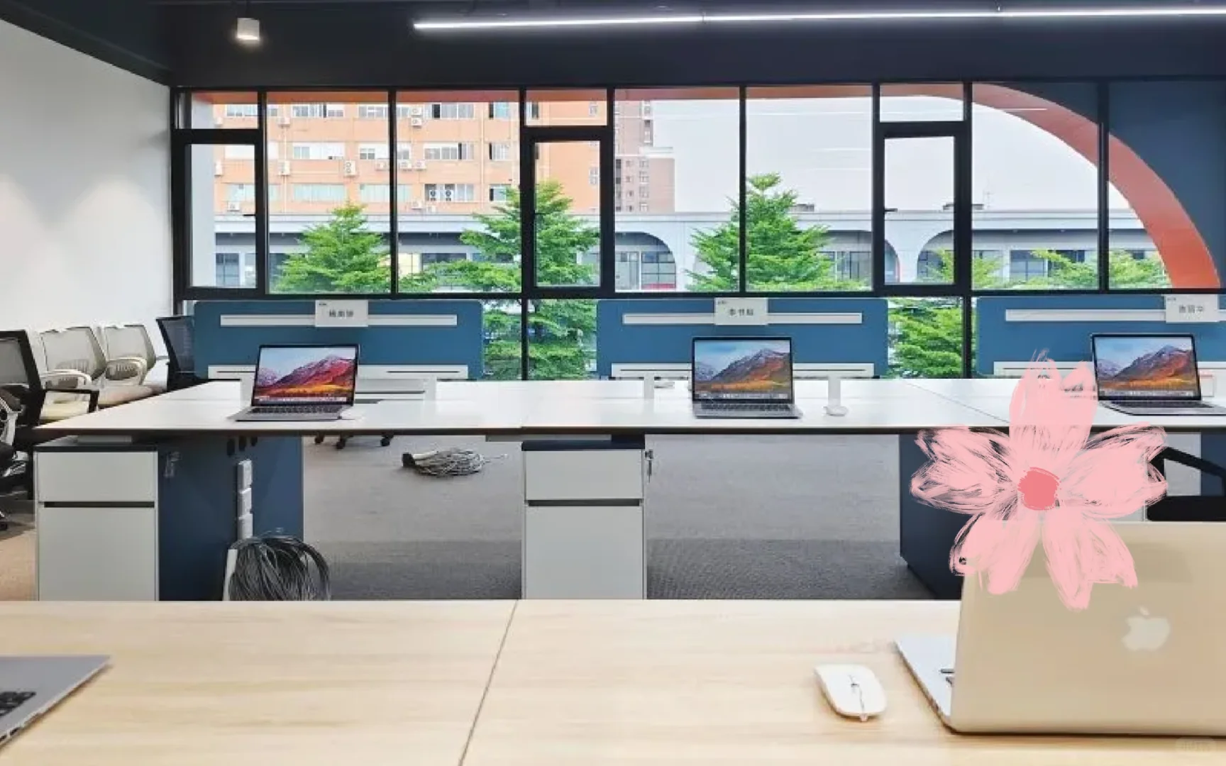 有小姐姐愿意来交投做行政文员吗？