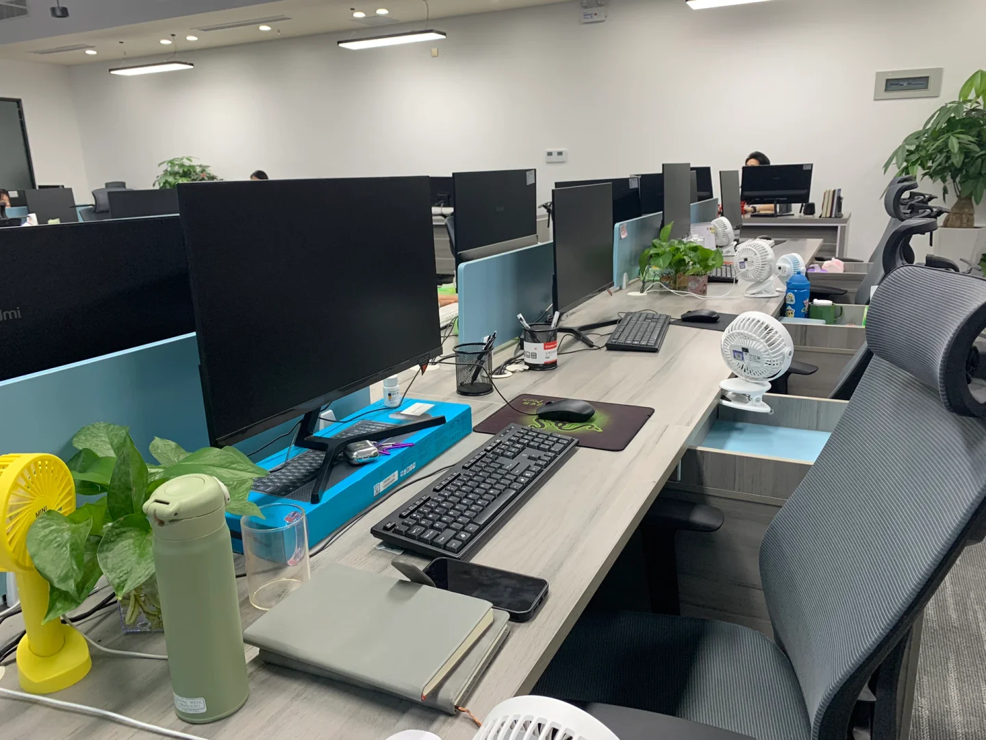 泉州东海跨境电商有限公司，邀您加入