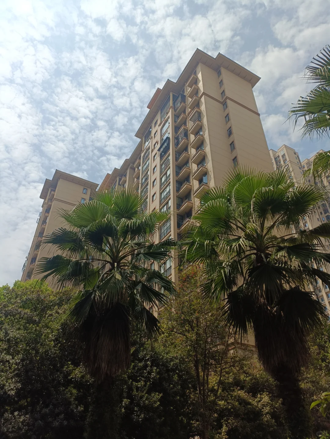 教龄15年的老师，我将这样做，克服职业焦虑