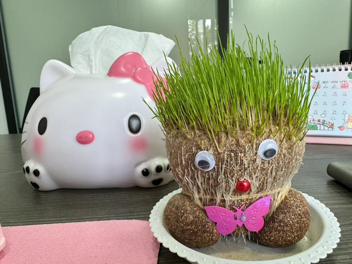 年轻人团队，老板是女孩子处成了姐妹👧🏻