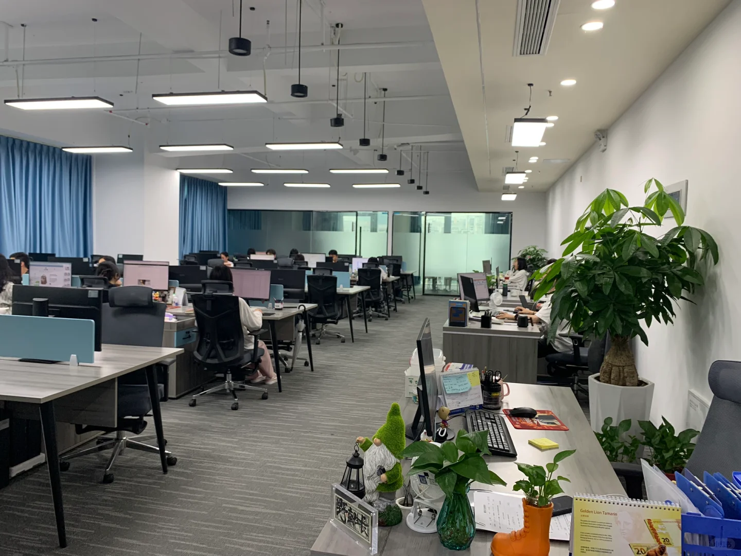 泉州东海跨境电商有限公司，邀您加入