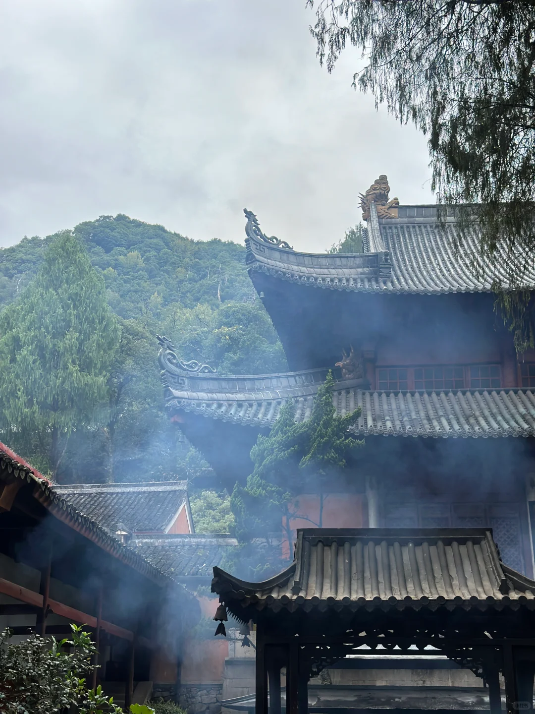 为什么说普通省属高校很难混下去（三）
