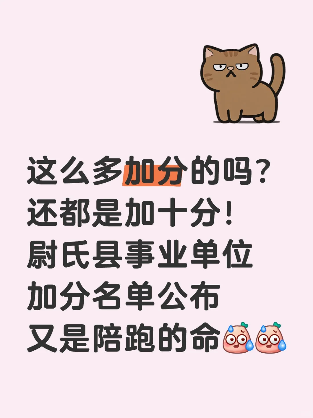 闹哪样，200多个加十分的，这还咋比！