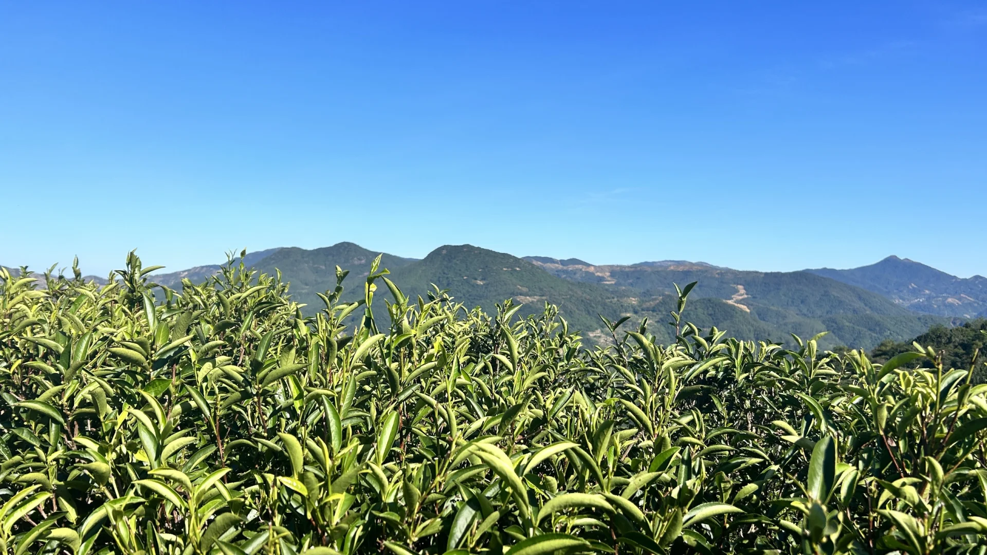 诚聘外贸业务员~有经验即可‼️‼️‼️