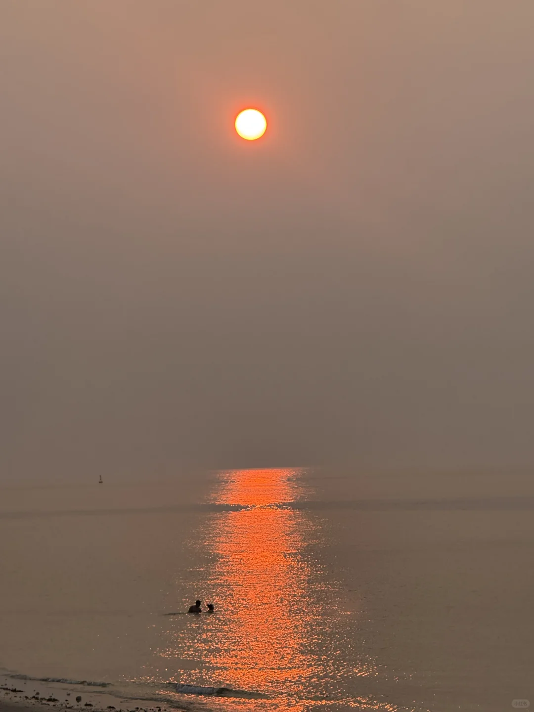 一则来自海岛的招聘｜咖啡师