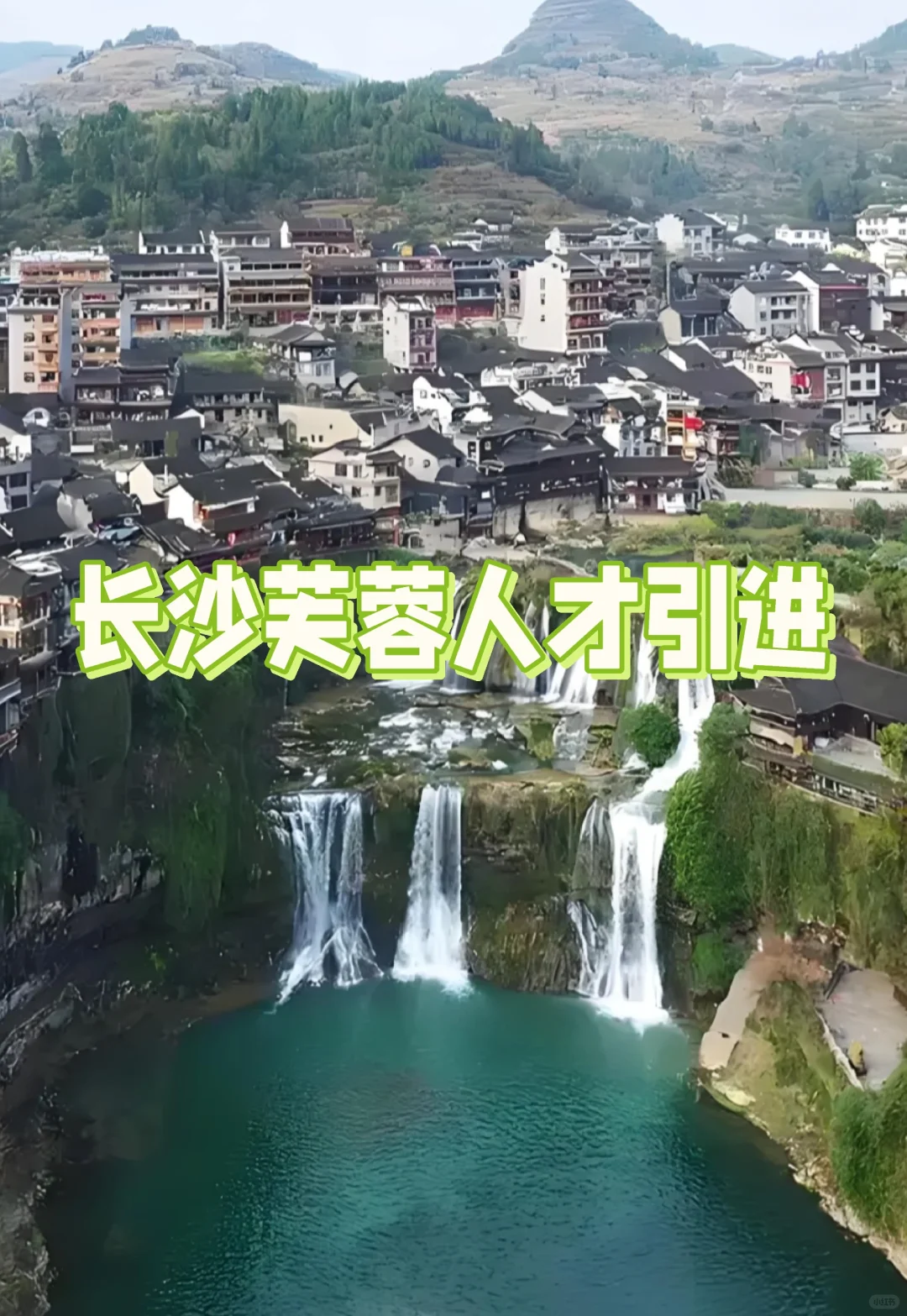 专业学校不限！