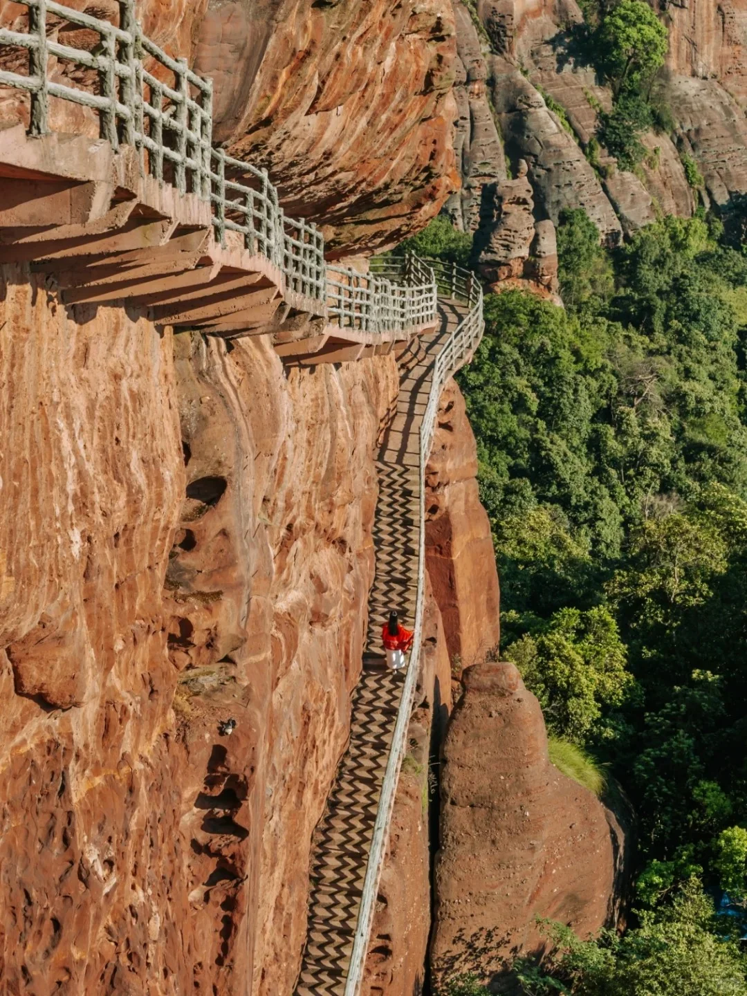 蛇年新机遇❗ 龟峰景区热招岗位来袭❗