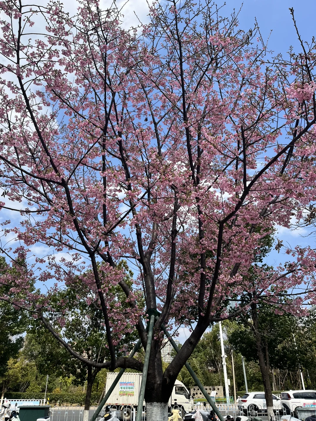 【高薪急聘】管理总监（广告设计行业）