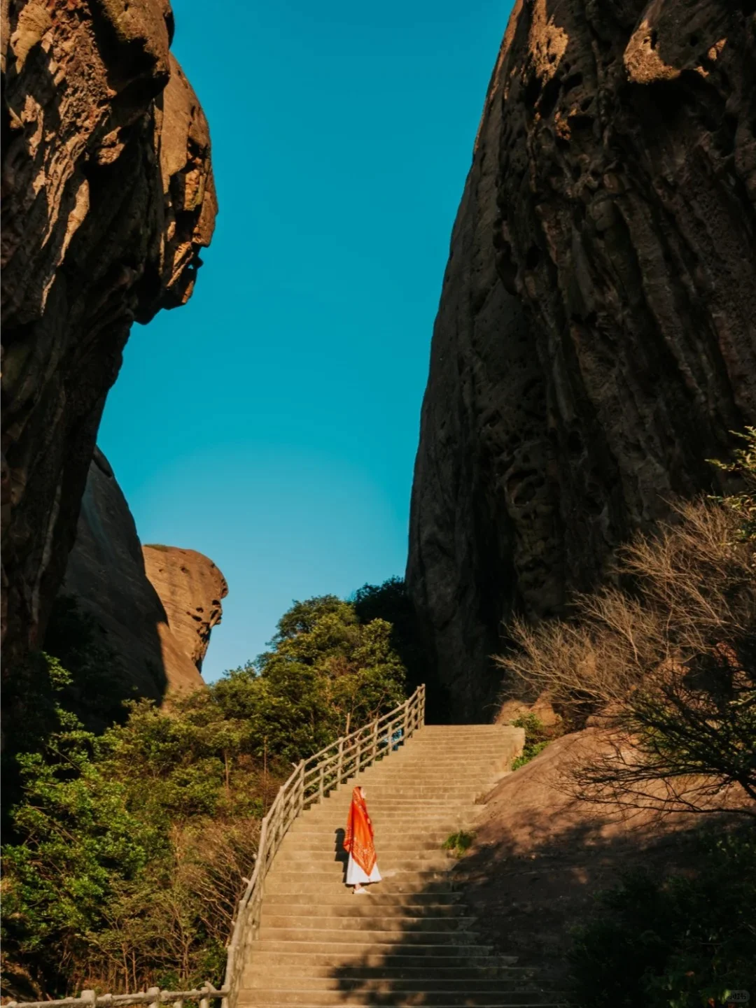 蛇年新机遇❗ 龟峰景区热招岗位来袭❗