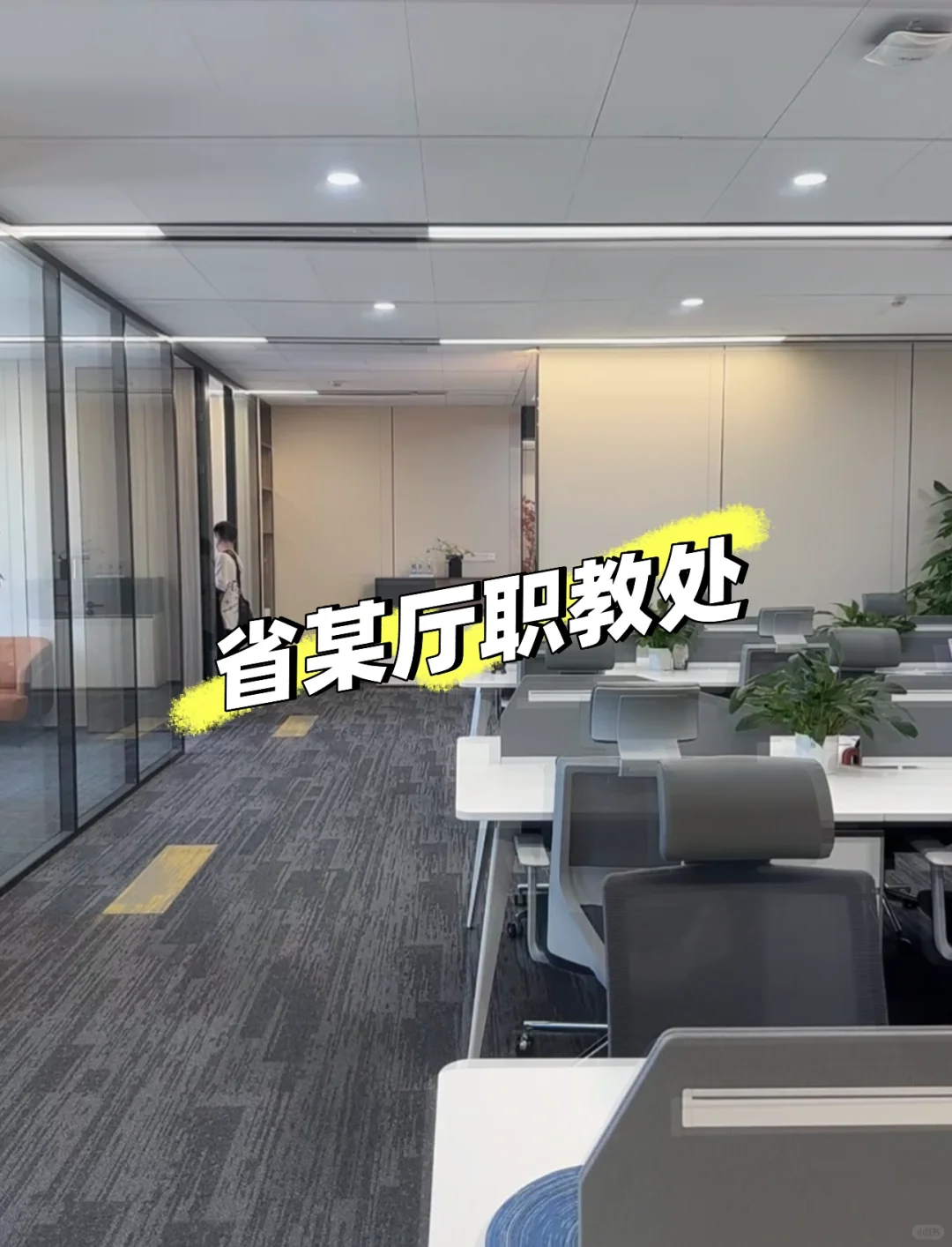 省某厅职教处招聘文职岗