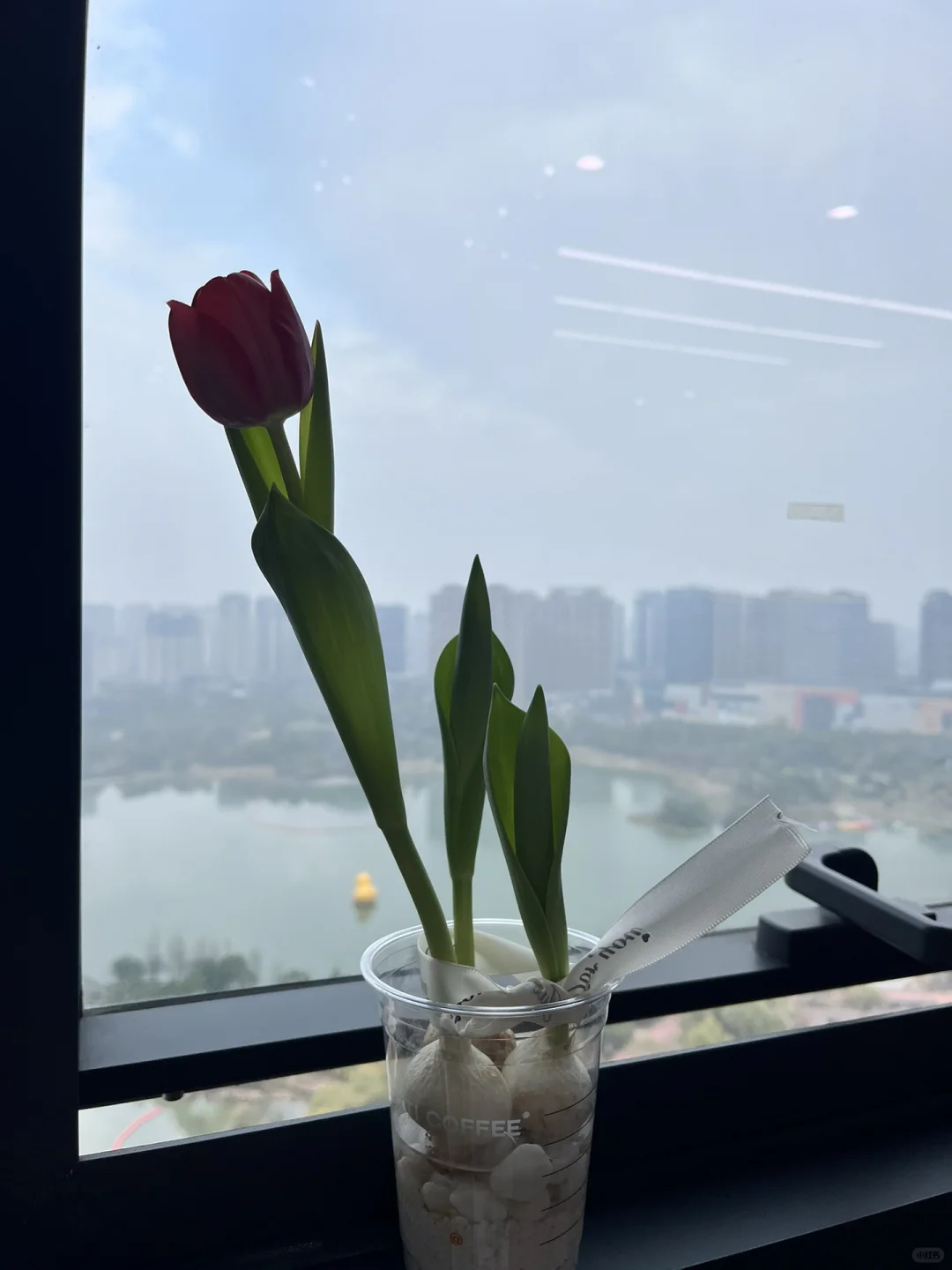 【高薪急聘】管理总监（广告设计行业）