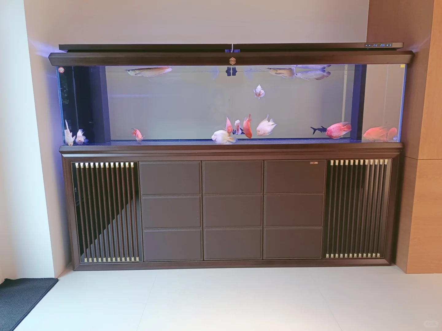 找工作的小伙伴看过来啦~入股不亏