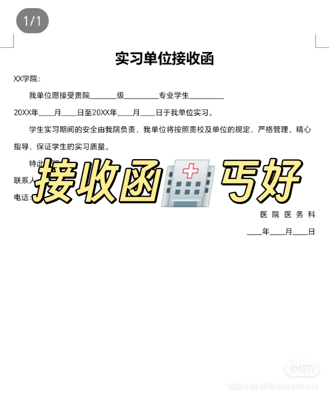 自联实习真香