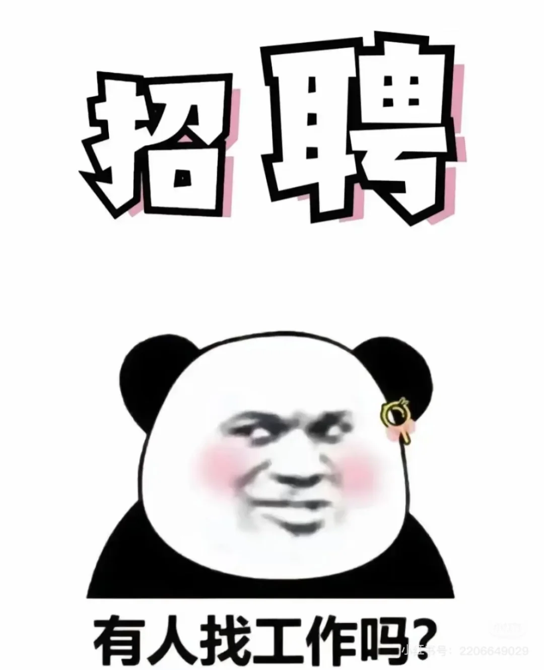 本宫没什么坏心思，只想帮你找个好工作罢了。