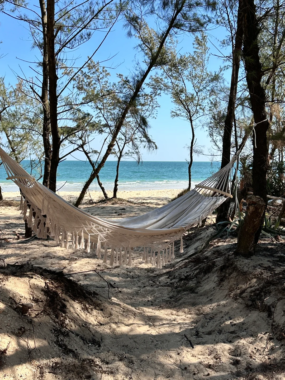 一则来自海岛的招聘｜咖啡师