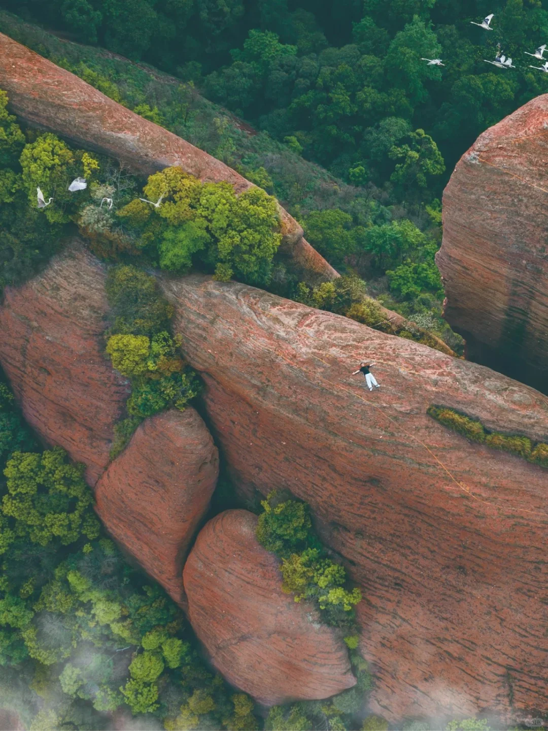 蛇年新机遇❗ 龟峰景区热招岗位来袭❗