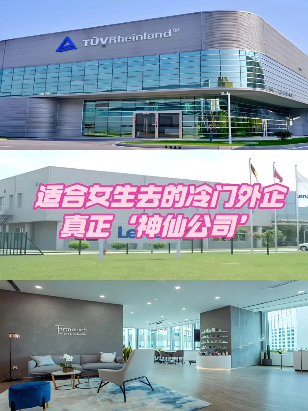 这些适合女生的冷门神仙外企，闭眼冲！