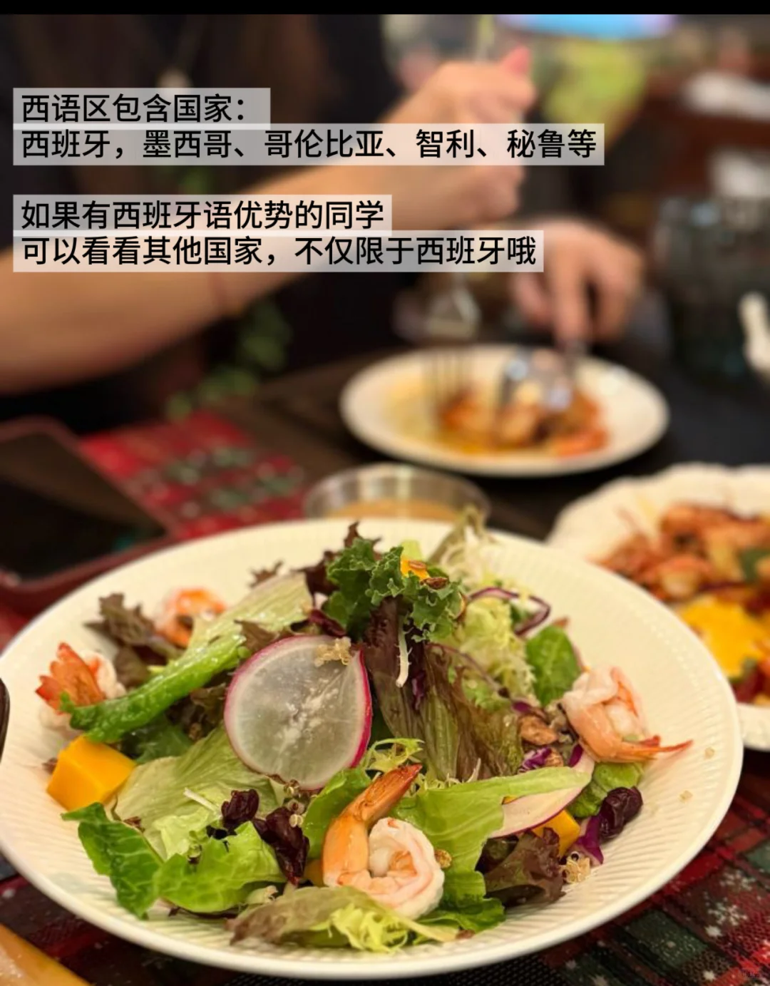 西班牙🇪🇸机会｜全球视野，小语种可投递‼️