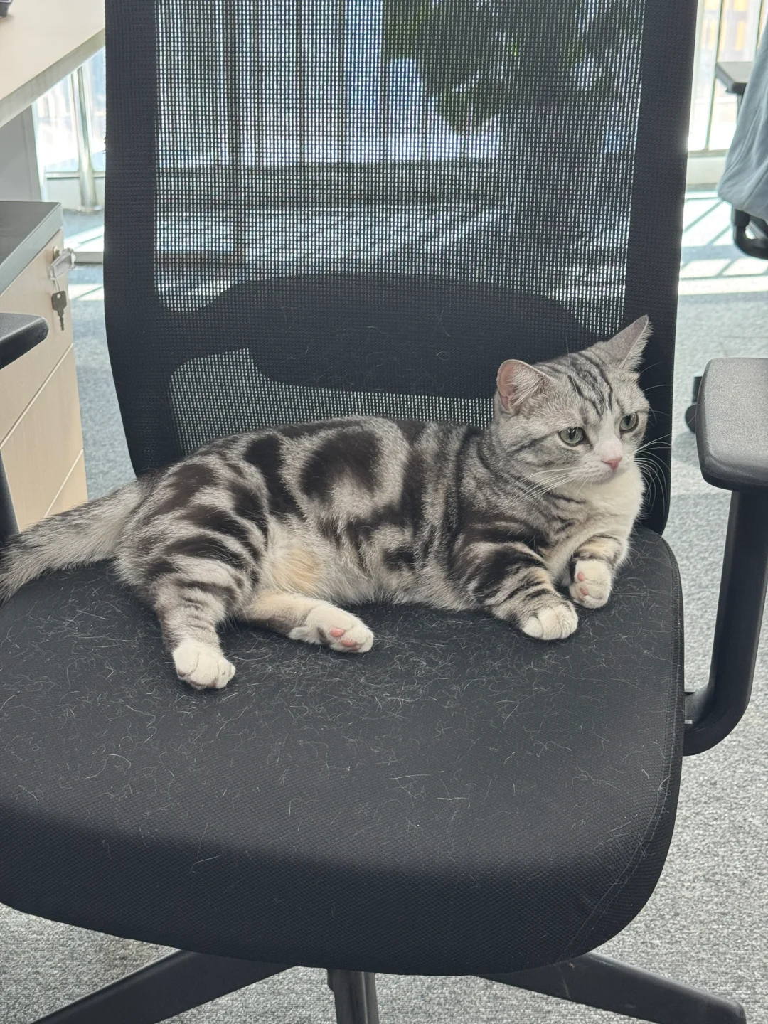 谁懂！入职武汉神仙双休公司工作日带薪团建