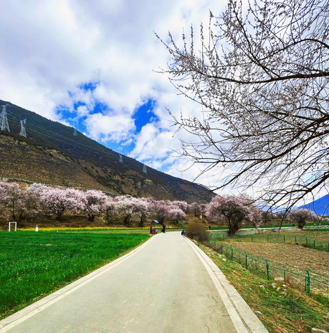 多地宣布发钱奖励结婚，年轻人为何不想结婚？