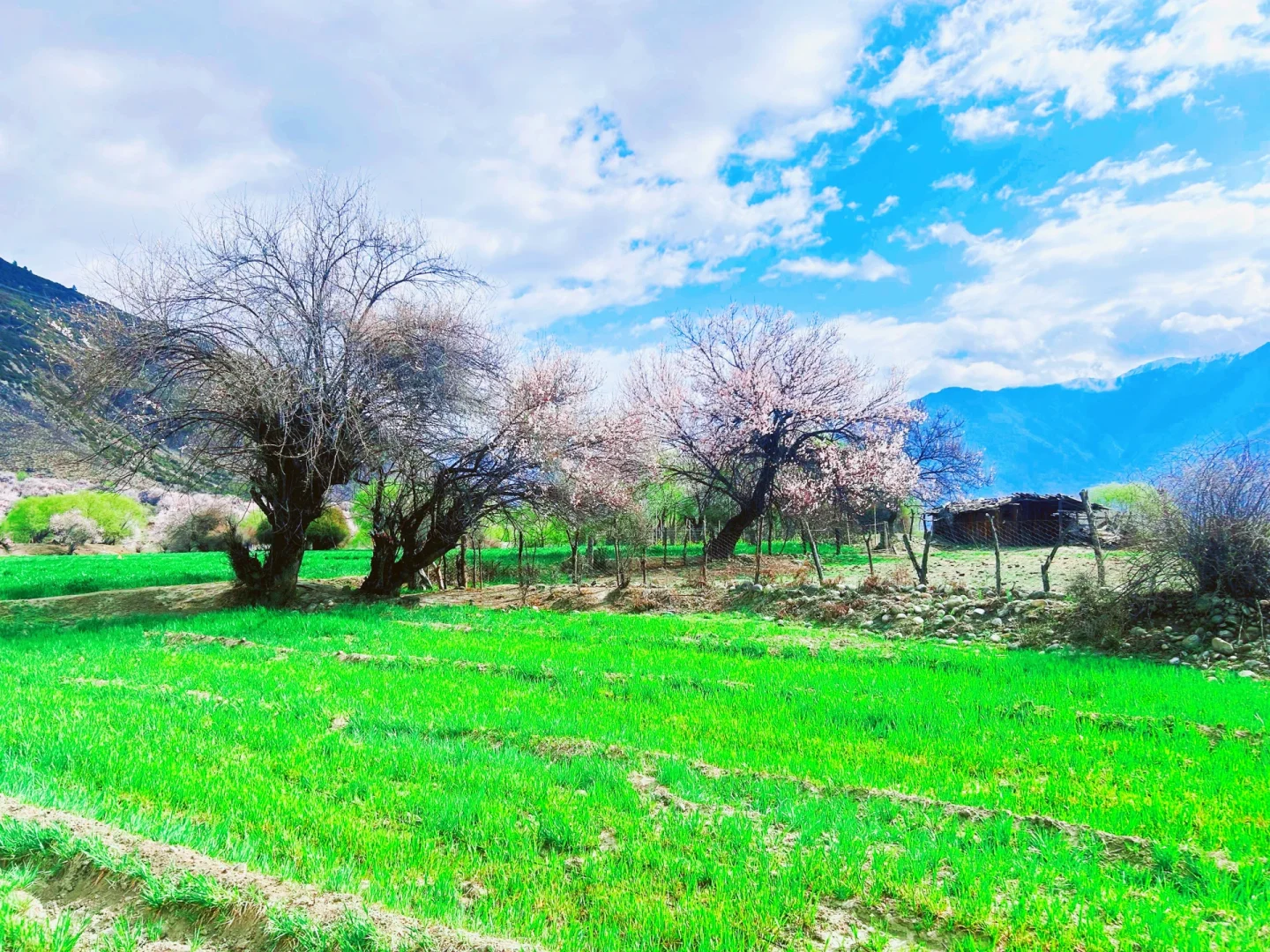 多地宣布发钱奖励结婚，年轻人为何不想结婚？