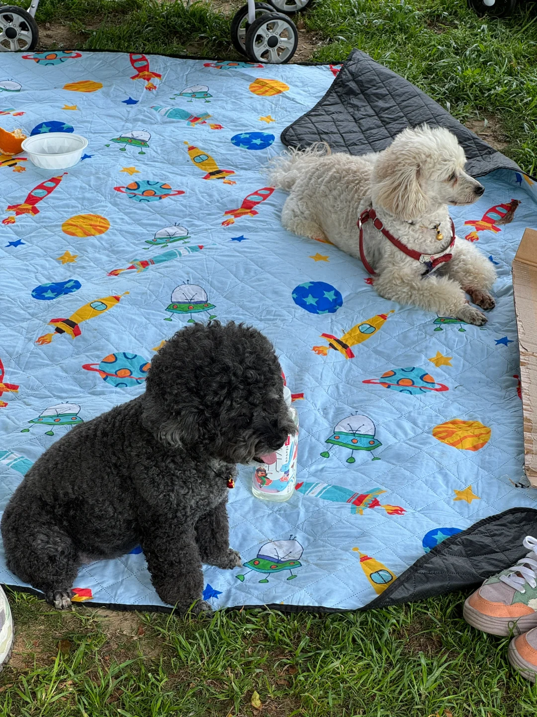 谁懂！入职武汉神仙双休公司工作日带薪团建