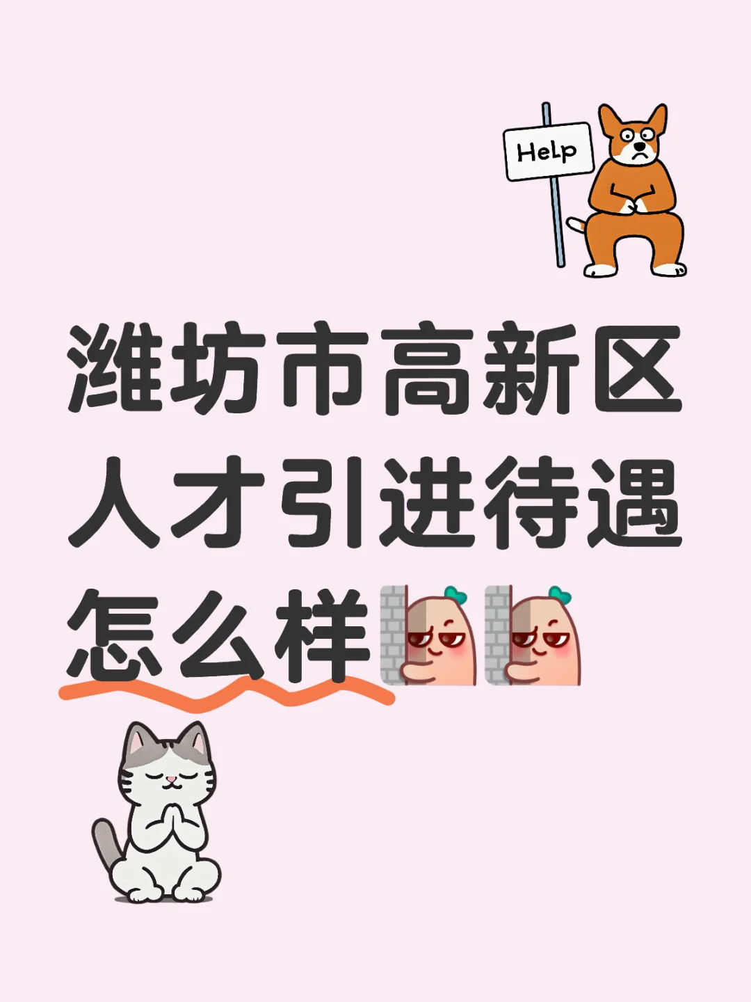 潍坊市高新区人才引进待遇怎么样