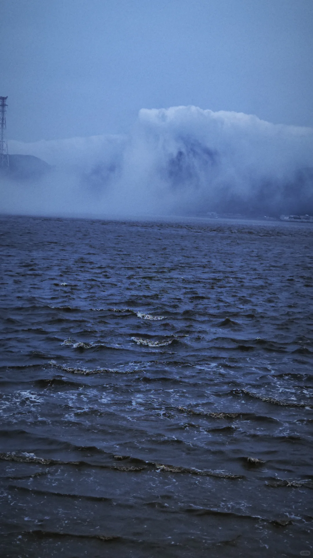 暂停，6月义工五月底招 |谢谢各位姐妹青睐