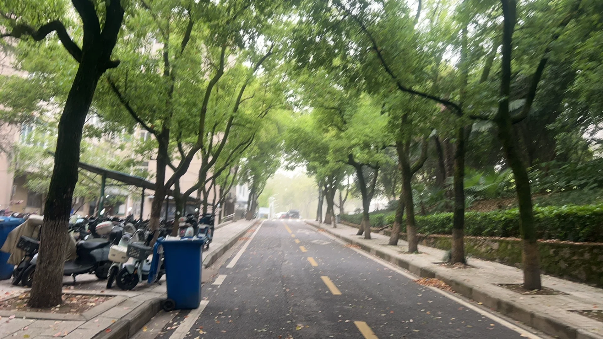 我以为，博士去军队文职岗会很容易……