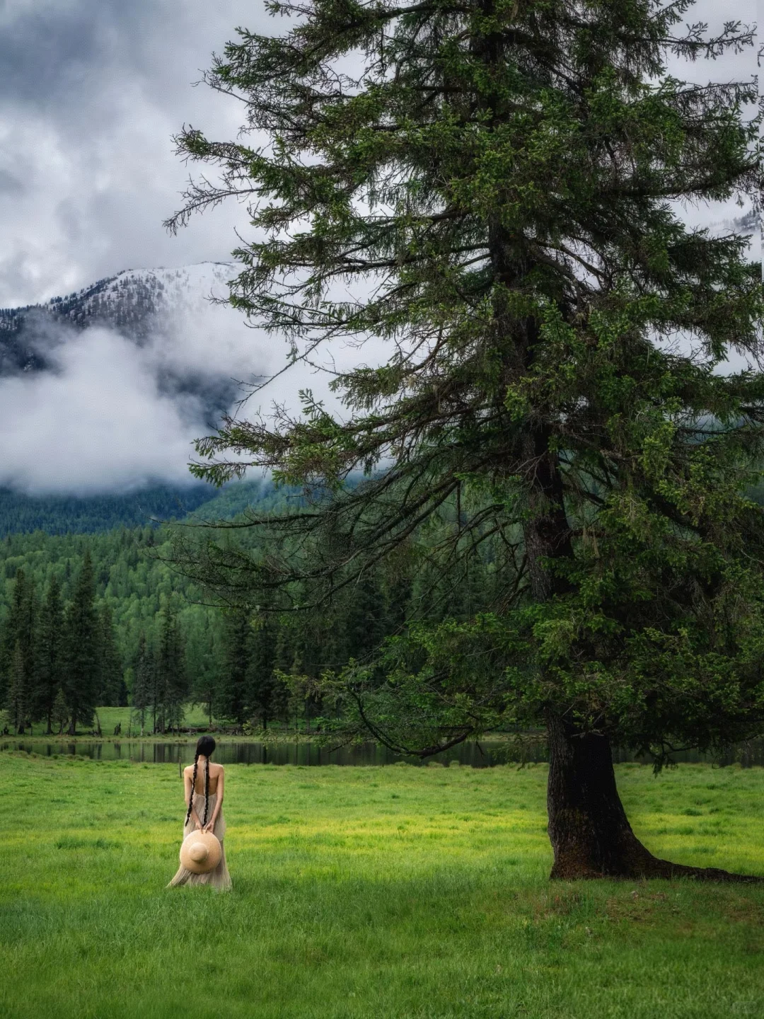 新疆喀纳斯民宿招聘