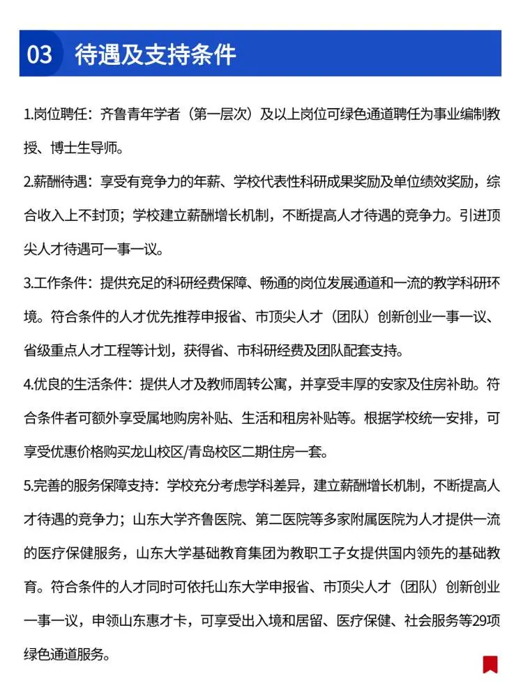 山东大学2025年诚聘海内外优秀人才🔥