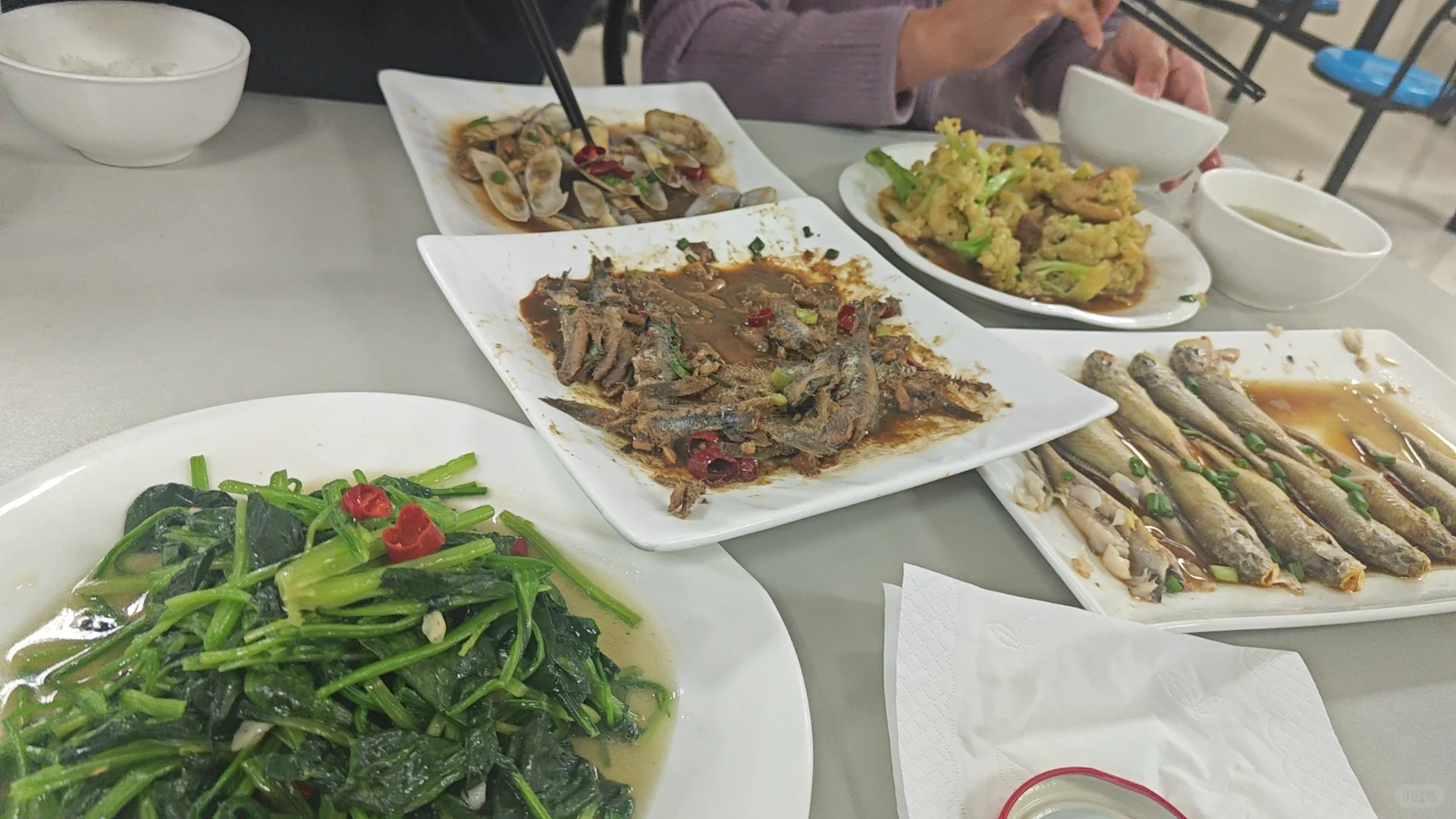 暂停，6月义工五月底招 |谢谢各位姐妹青睐