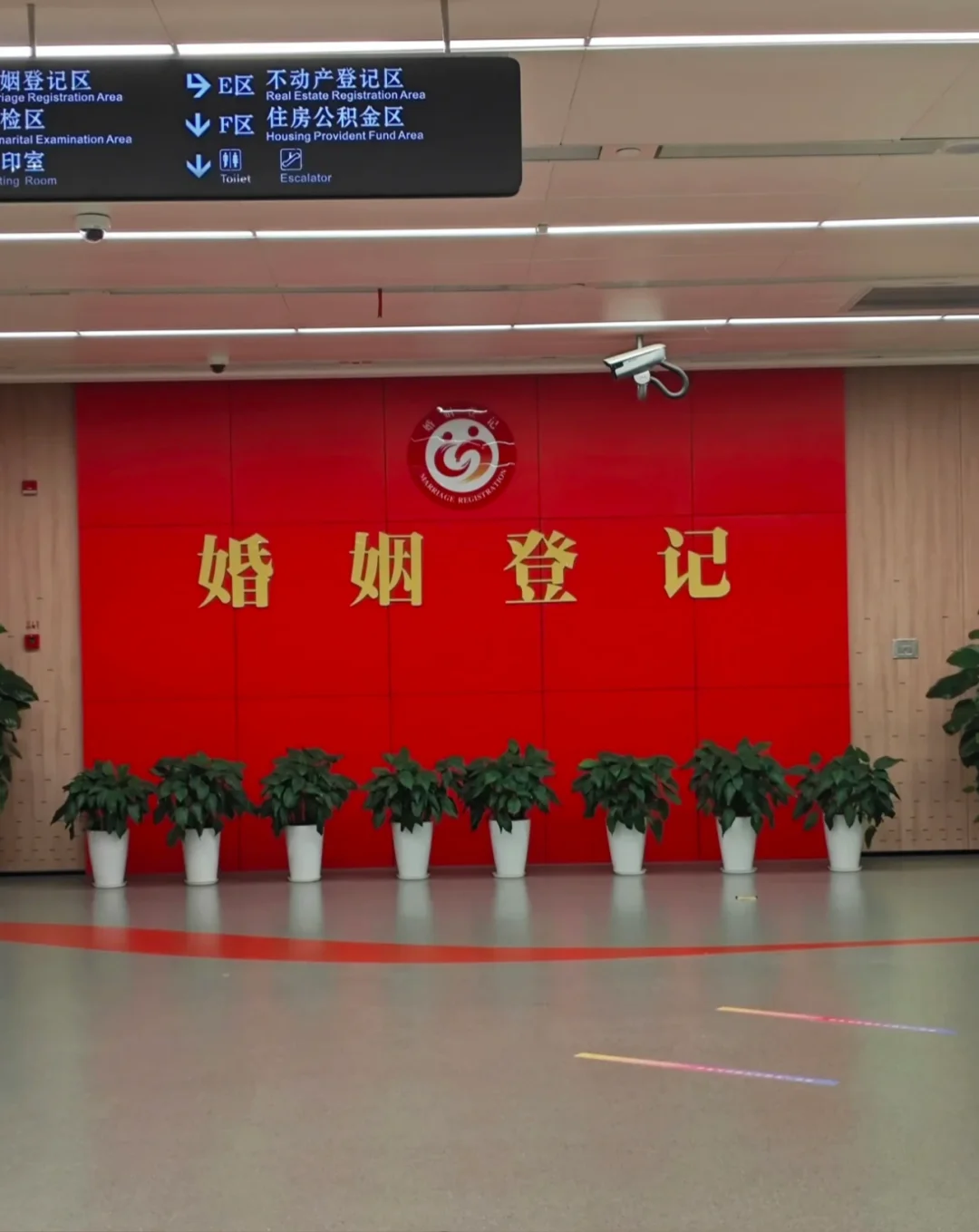 长春市莫言民政局招聘专员岗